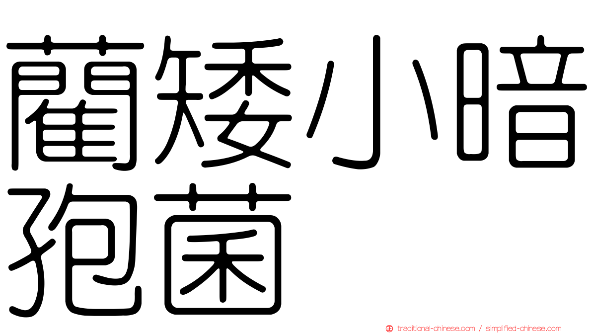 藺矮小暗孢菌
