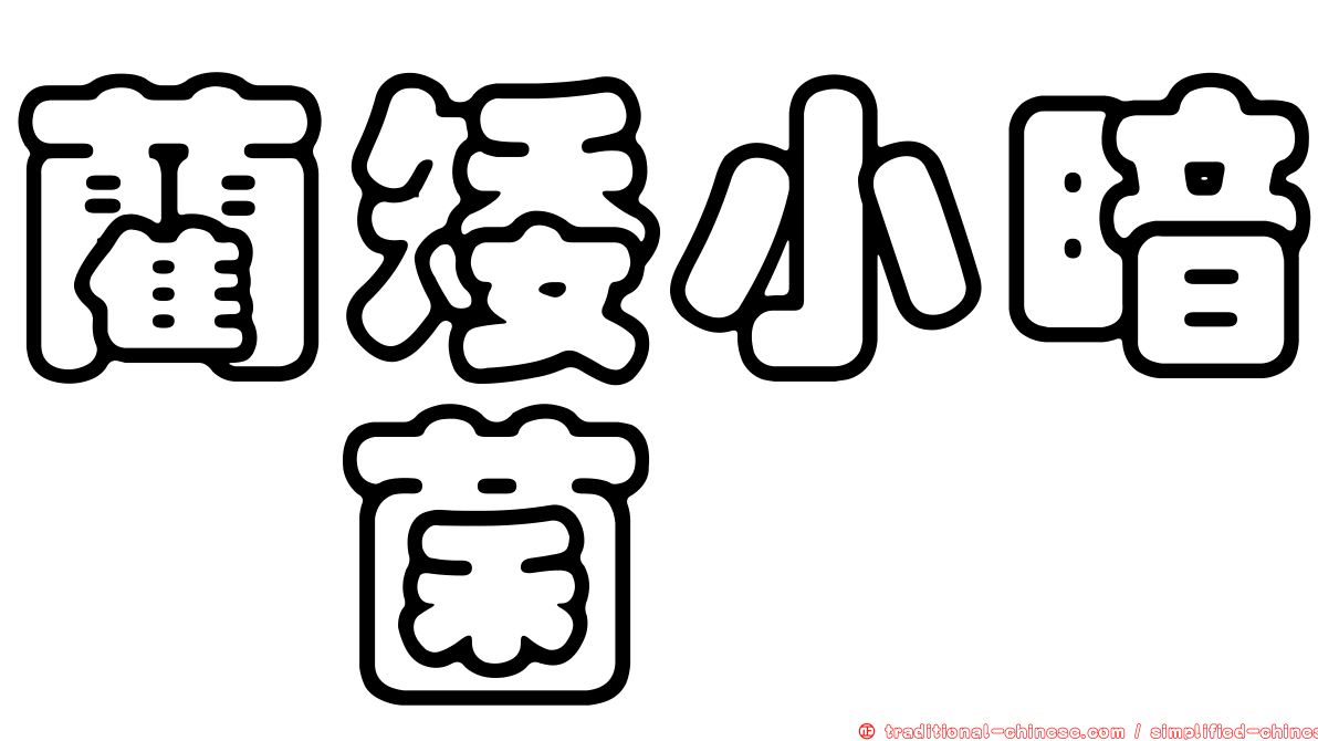 藺矮小暗孢菌