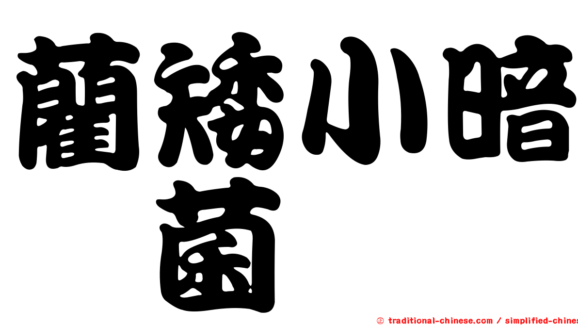 藺矮小暗孢菌