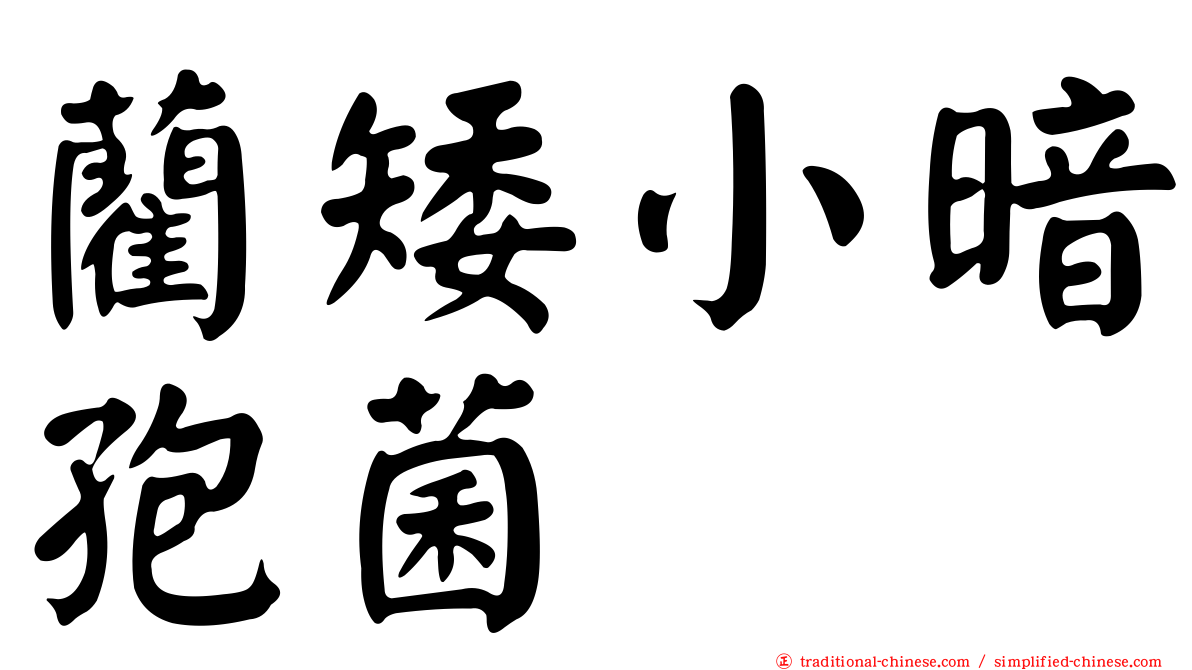 藺矮小暗孢菌
