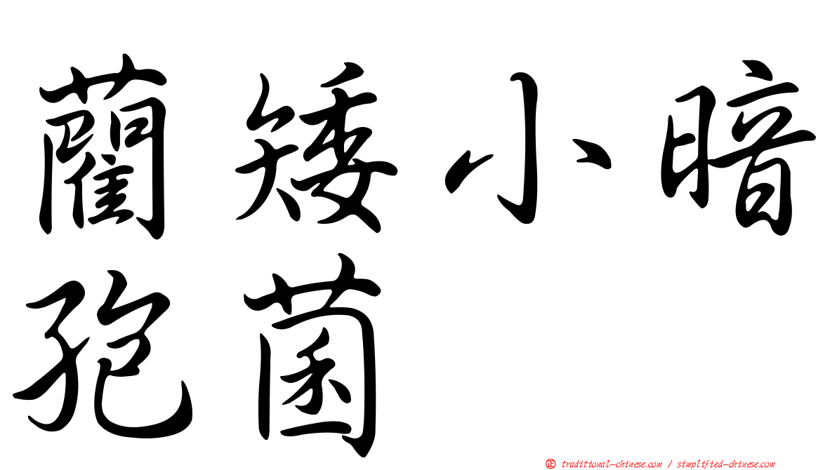 藺矮小暗孢菌