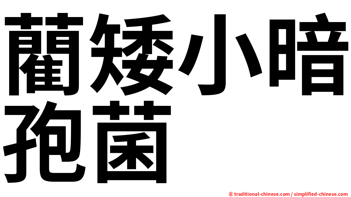 藺矮小暗孢菌