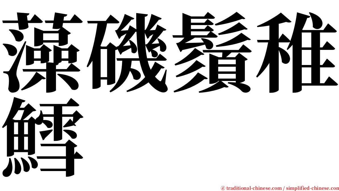 藻磯鬚稚鱈 serif font