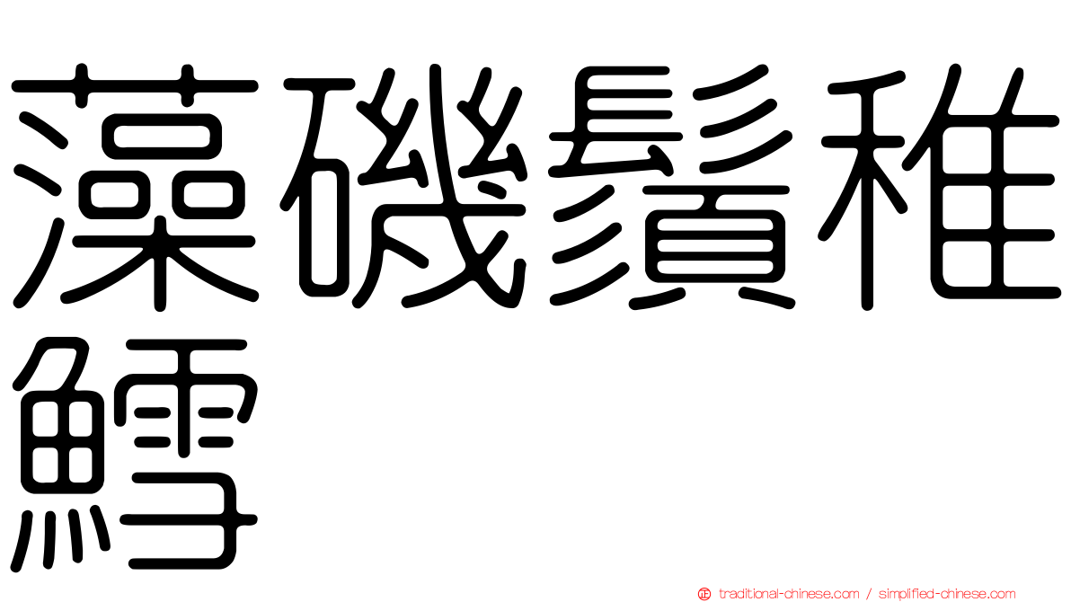 藻磯鬚稚鱈