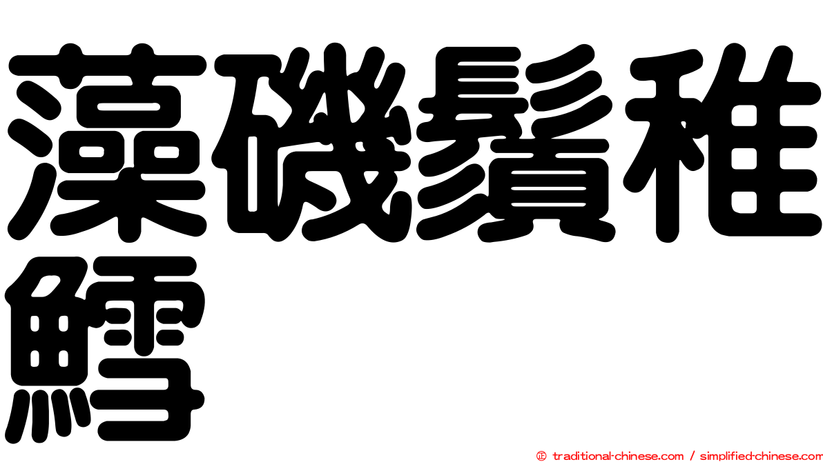 藻磯鬚稚鱈
