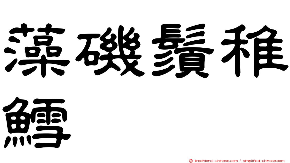 藻磯鬚稚鱈