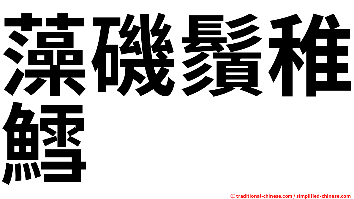 藻磯鬚稚鱈