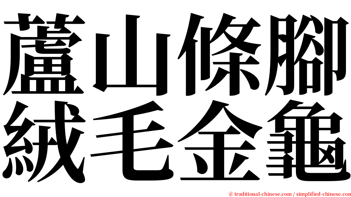 蘆山條腳絨毛金龜 serif font