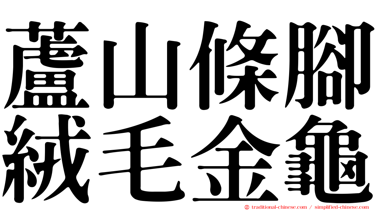 蘆山條腳絨毛金龜