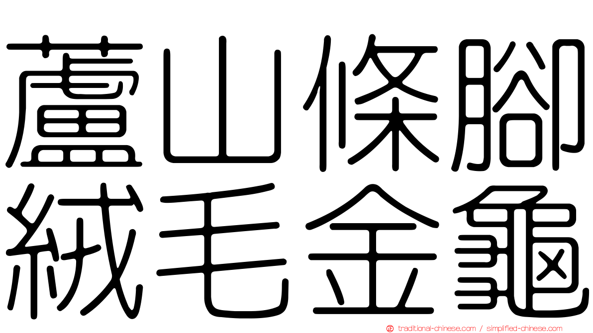 蘆山條腳絨毛金龜