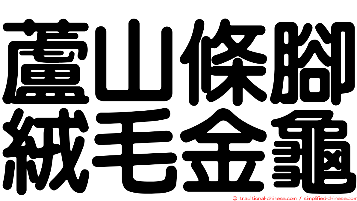 蘆山條腳絨毛金龜
