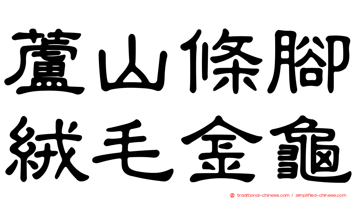 蘆山條腳絨毛金龜