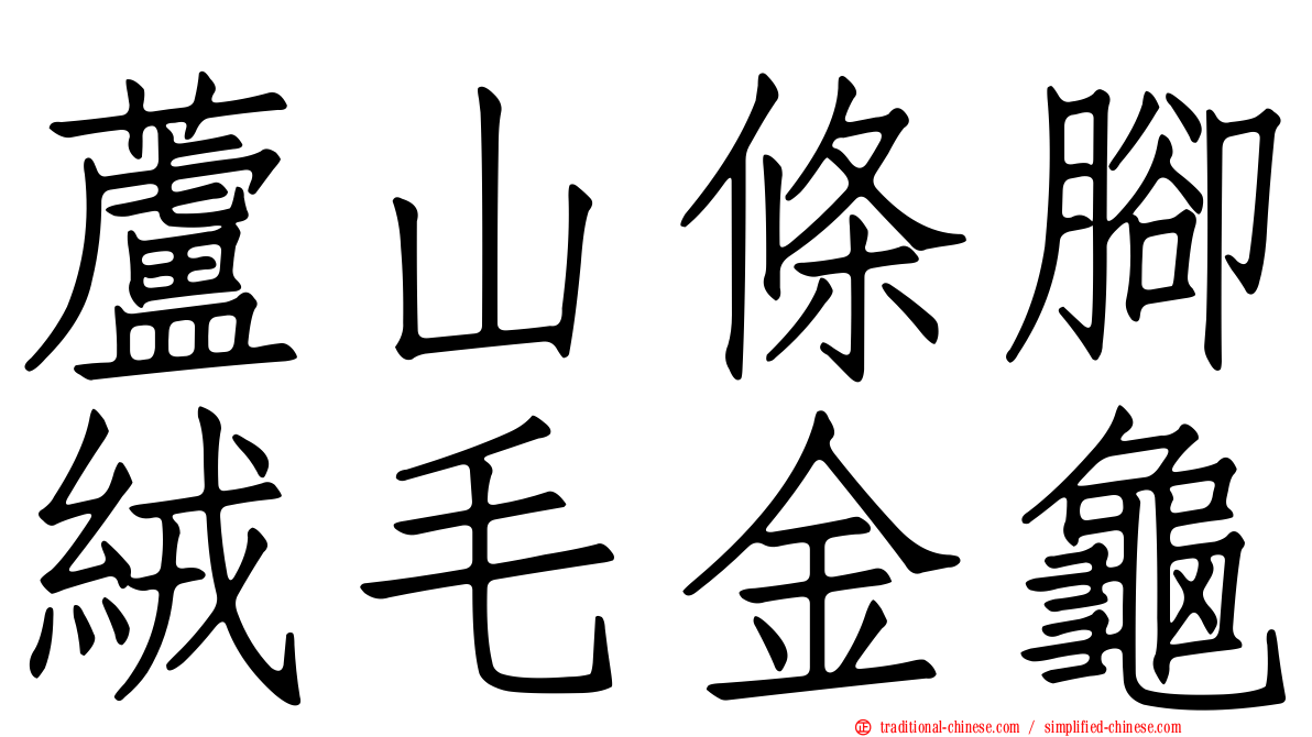 蘆山條腳絨毛金龜