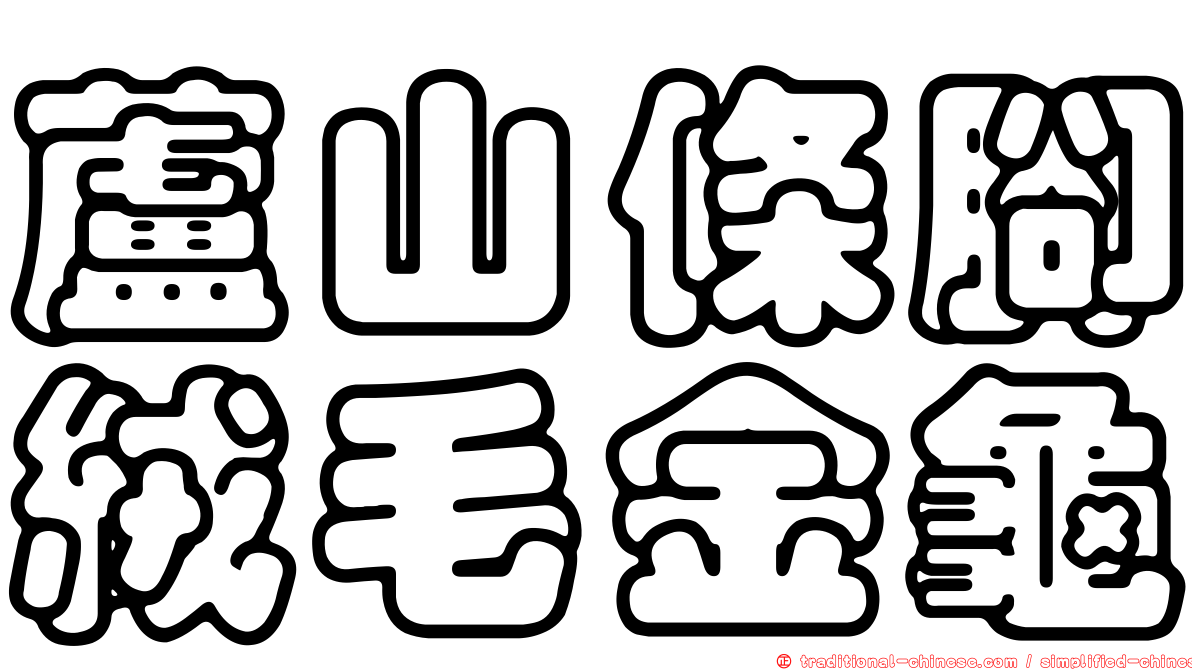 蘆山條腳絨毛金龜