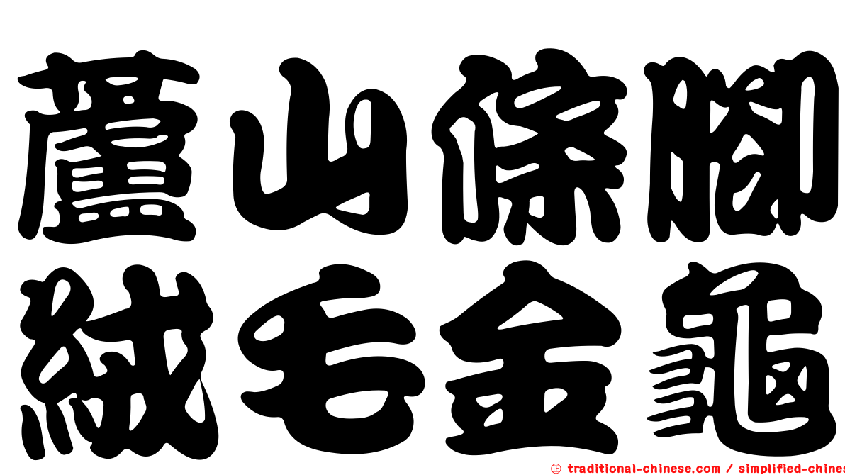蘆山條腳絨毛金龜