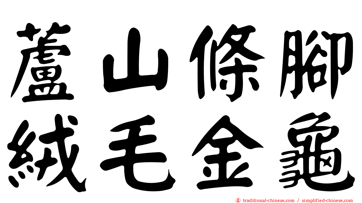 蘆山條腳絨毛金龜