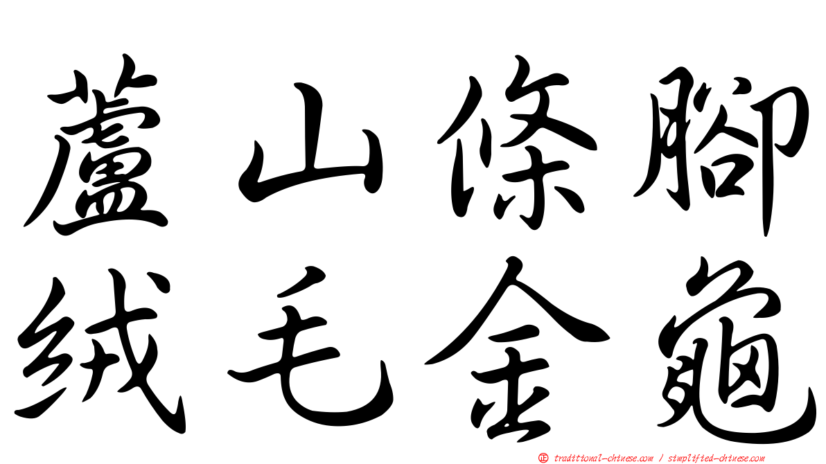 蘆山條腳絨毛金龜
