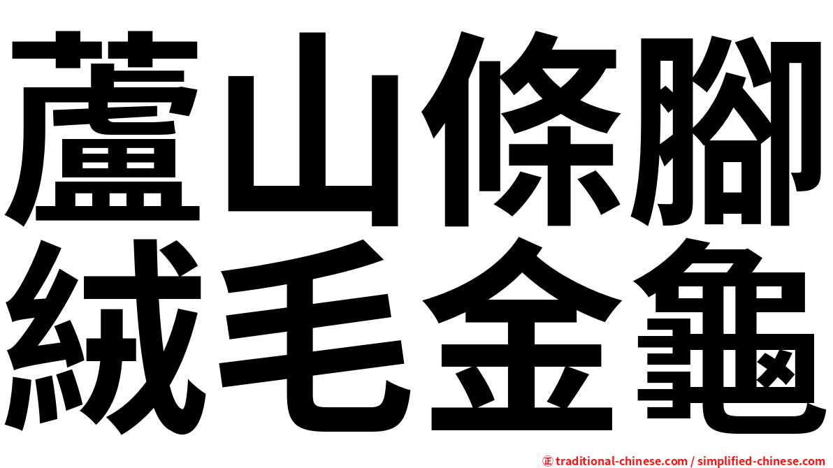 蘆山條腳絨毛金龜