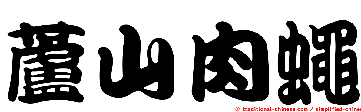 蘆山肉蠅