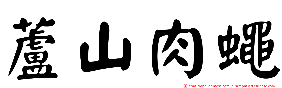蘆山肉蠅
