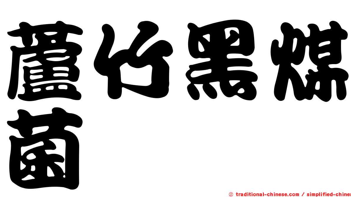 蘆竹黑煤菌