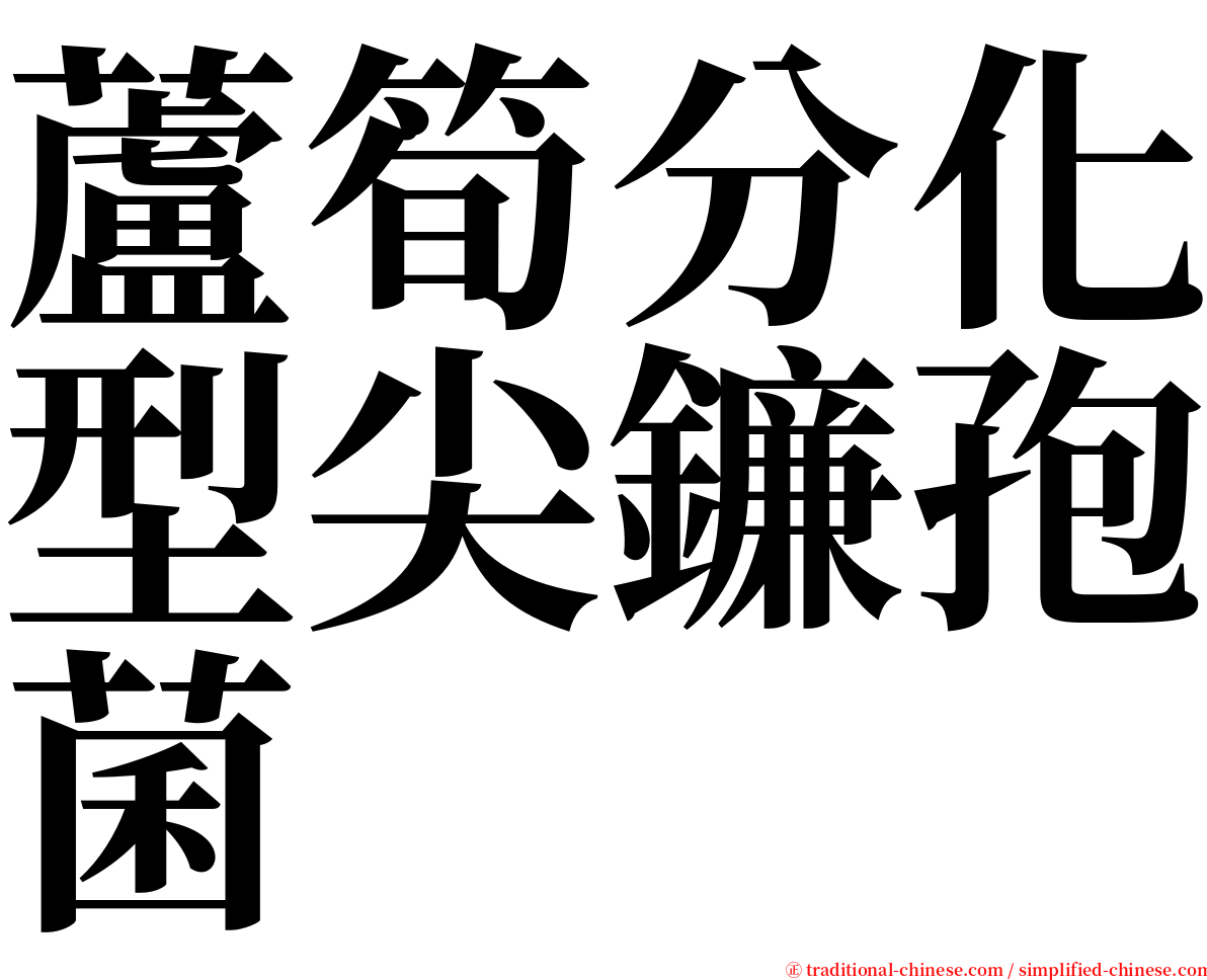 蘆筍分化型尖鐮孢菌 serif font