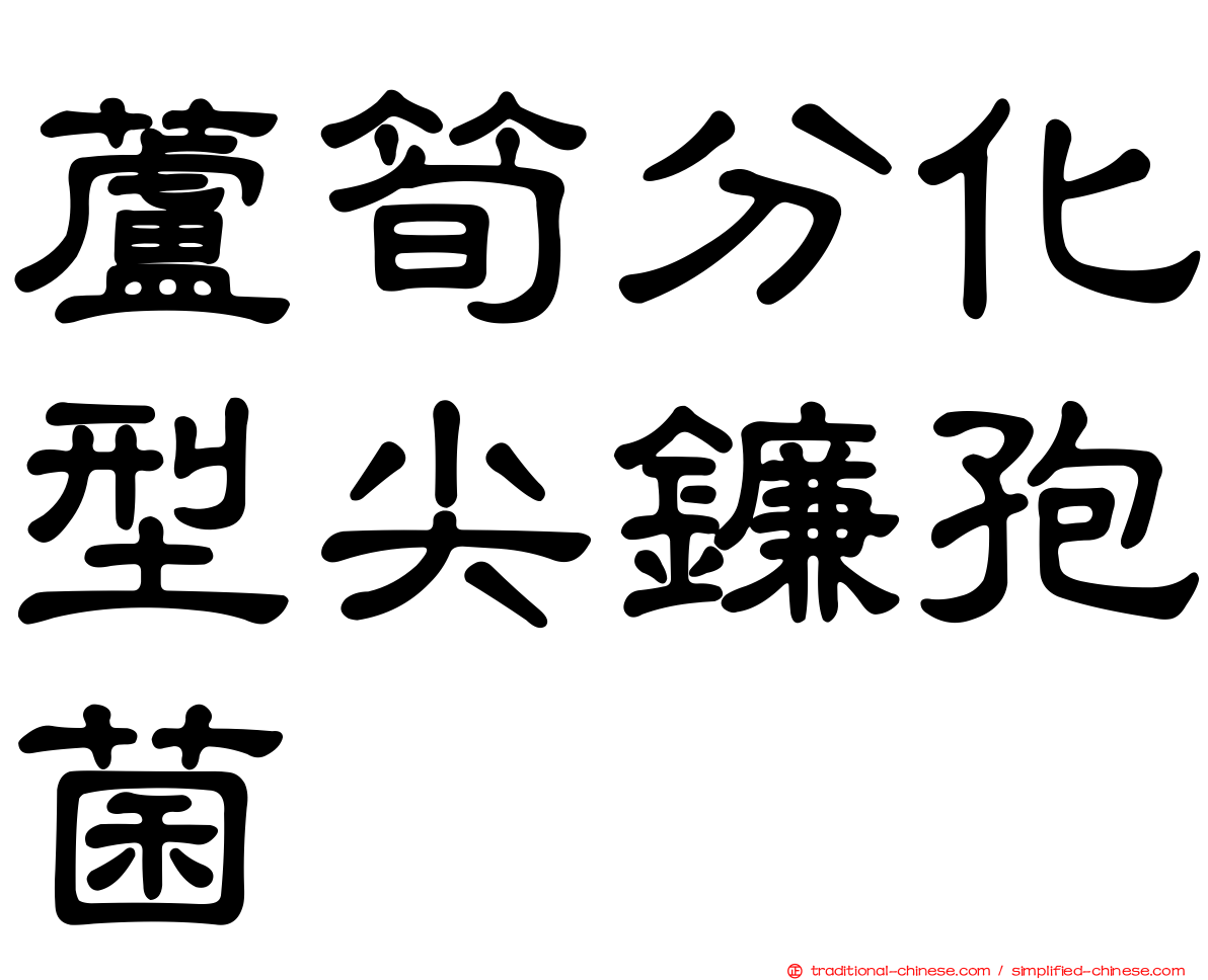 蘆筍分化型尖鐮孢菌