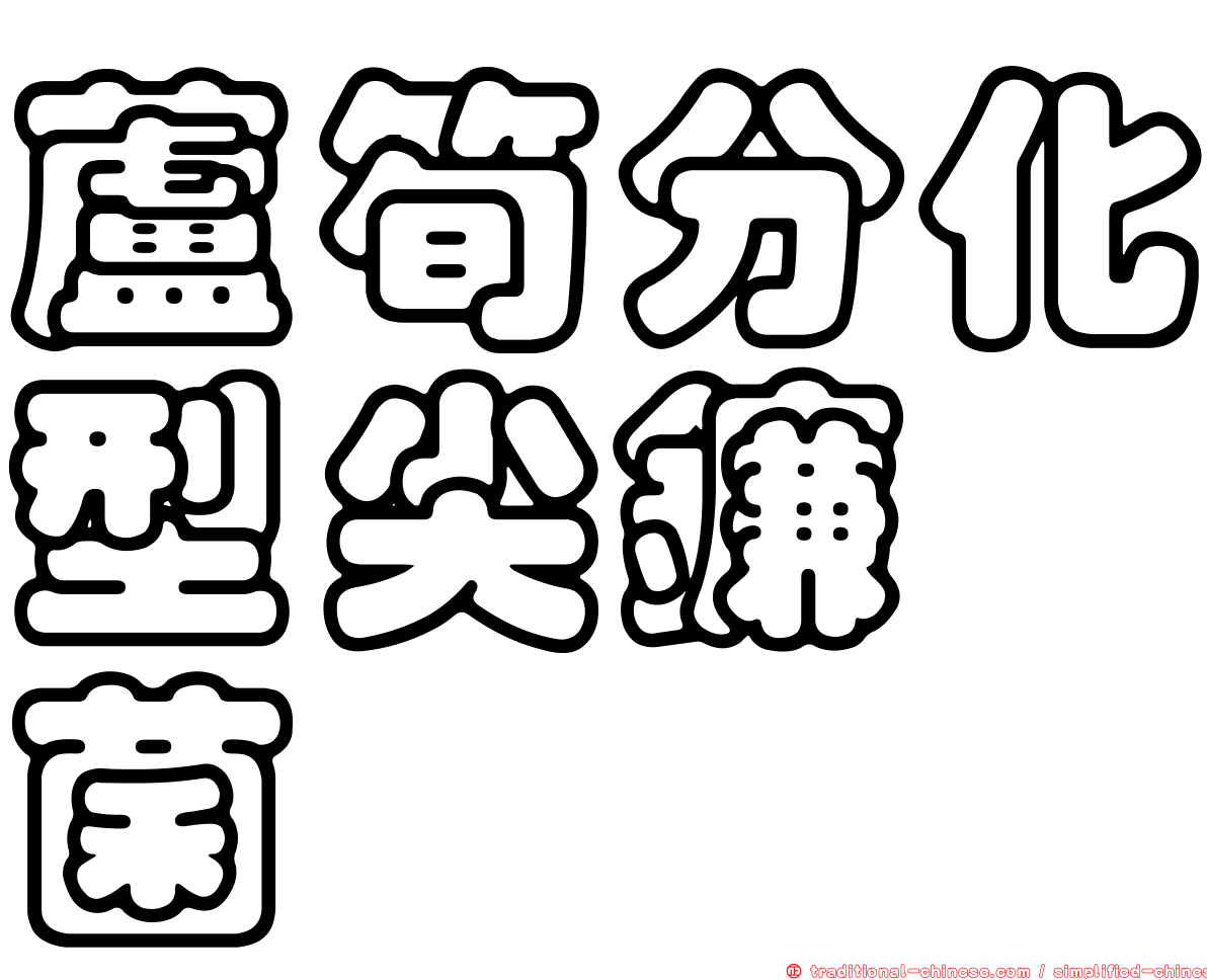 蘆筍分化型尖鐮孢菌