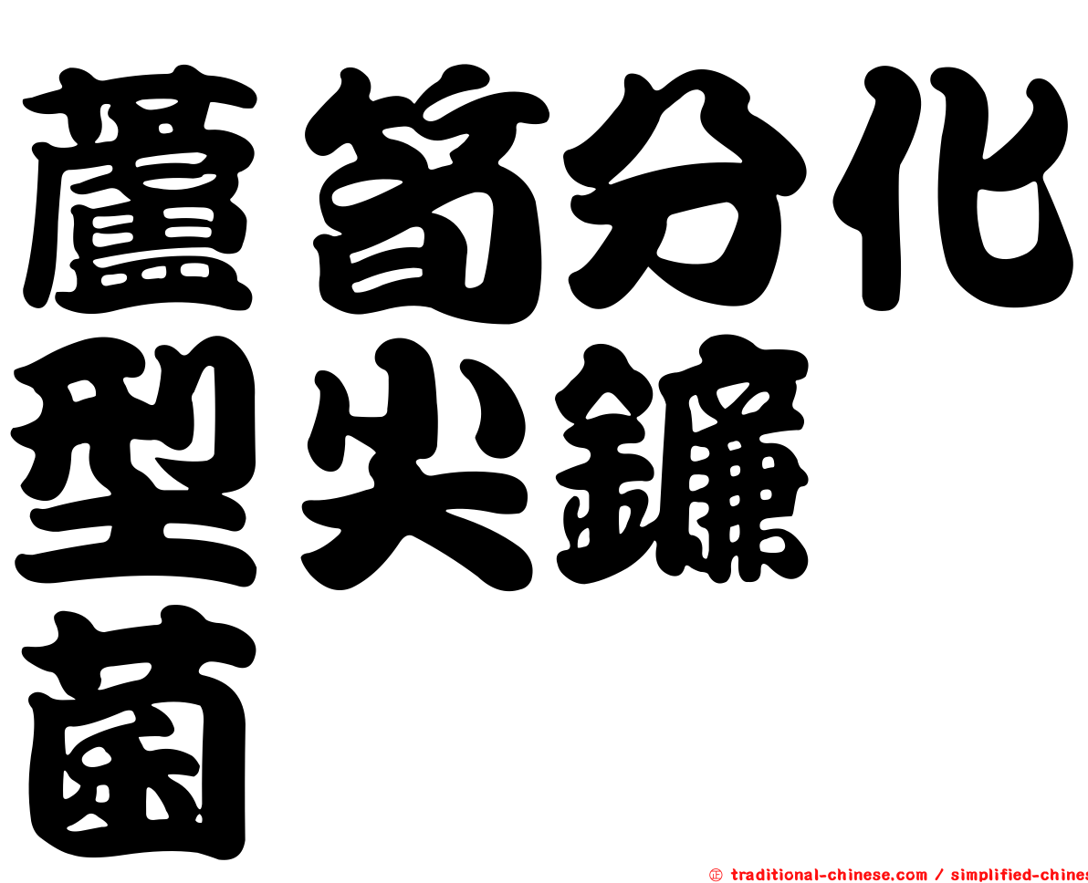 蘆筍分化型尖鐮孢菌