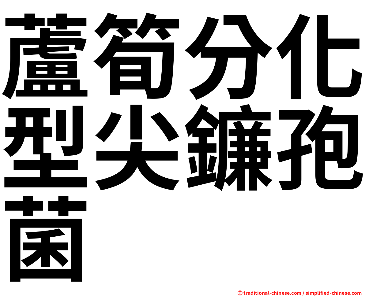 蘆筍分化型尖鐮孢菌