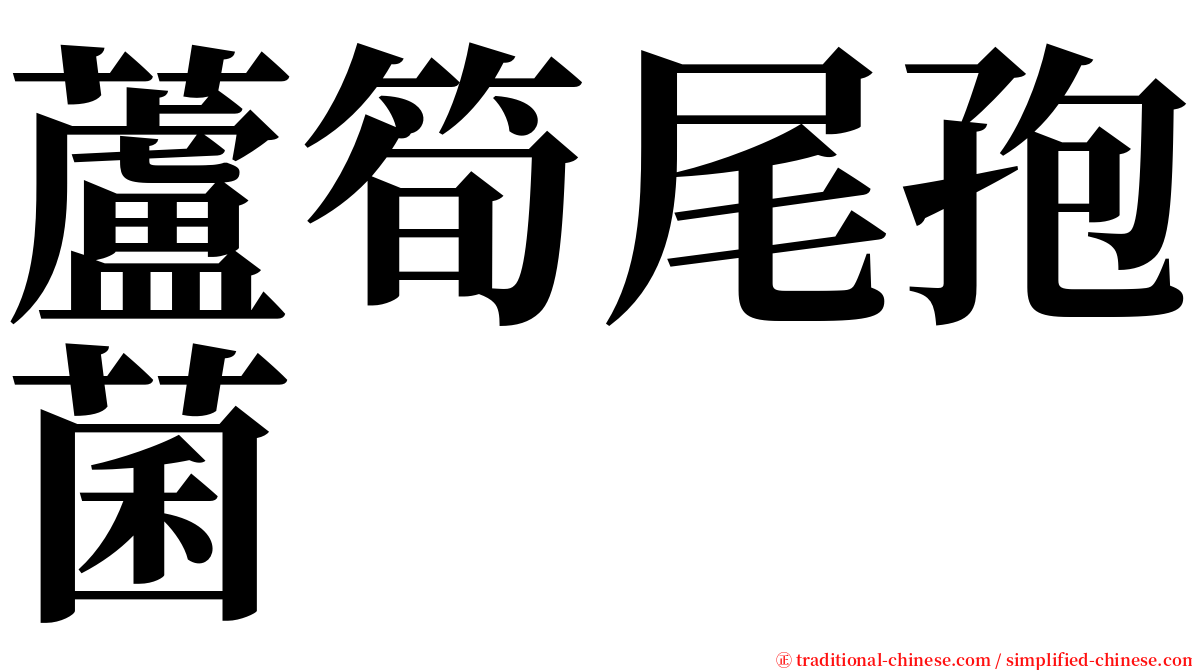 蘆筍尾孢菌 serif font