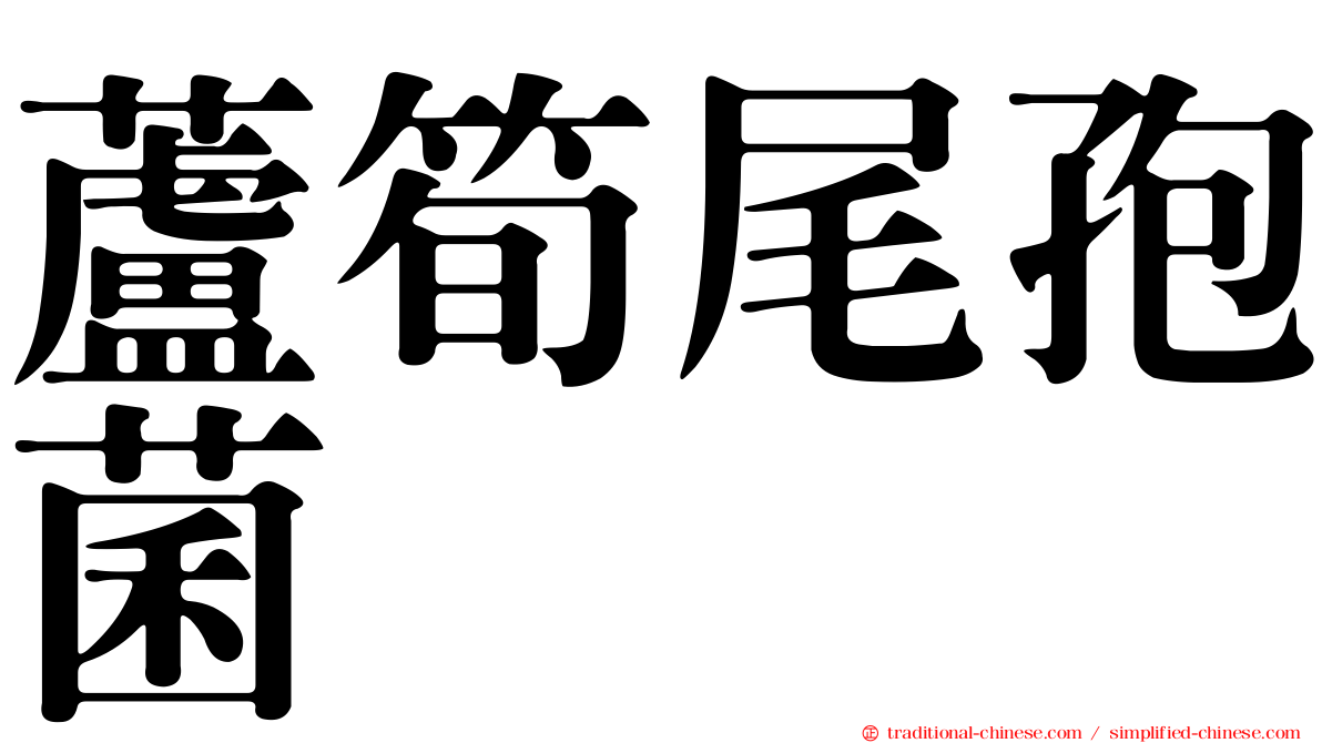 蘆筍尾孢菌