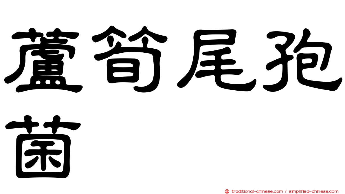 蘆筍尾孢菌