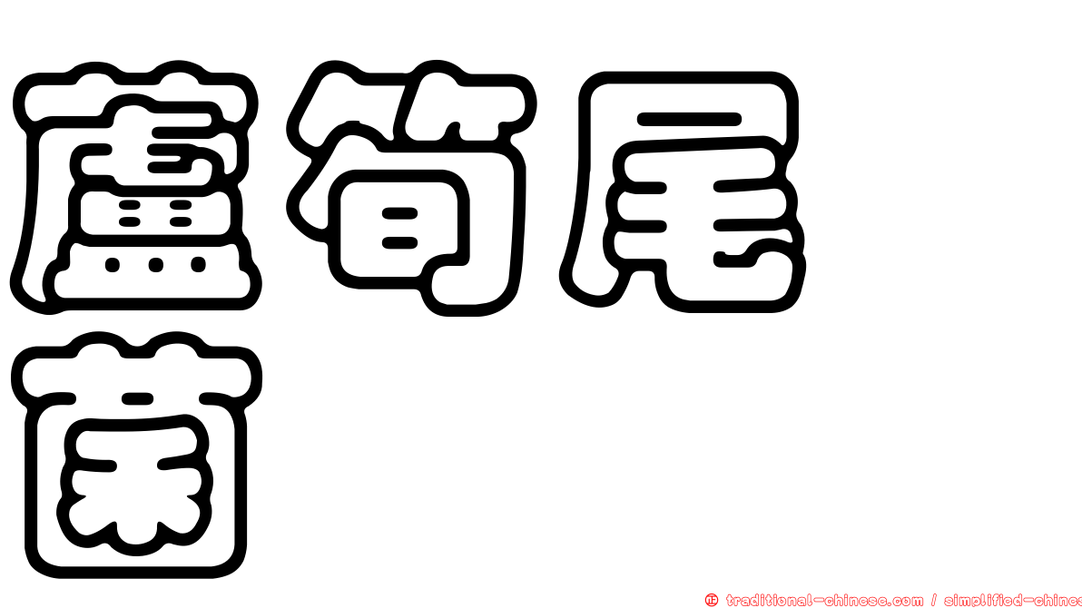 蘆筍尾孢菌