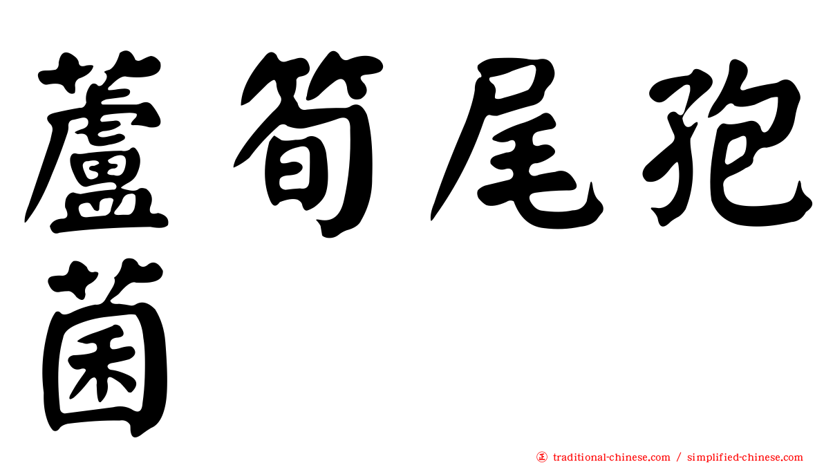 蘆筍尾孢菌