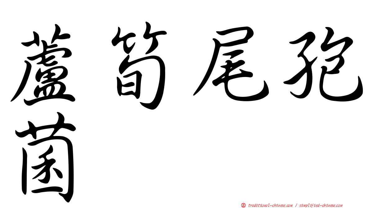蘆筍尾孢菌