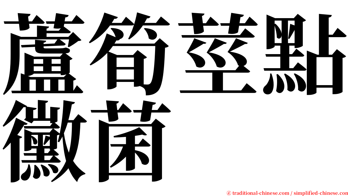 蘆筍莖點黴菌 serif font
