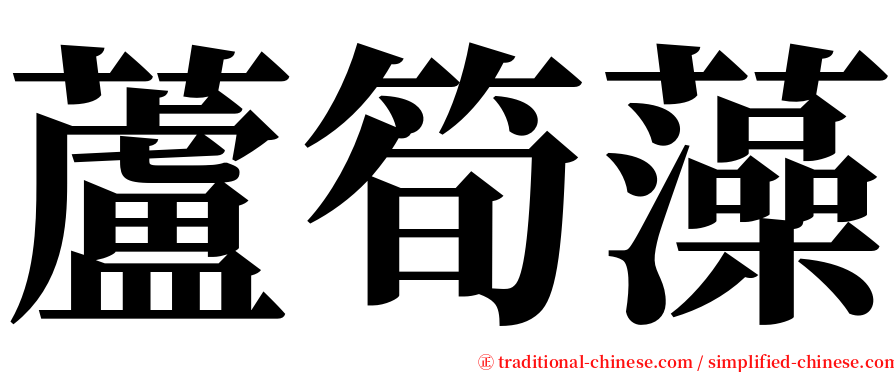 蘆筍藻 serif font