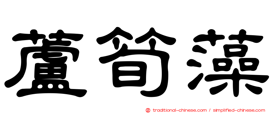 蘆筍藻