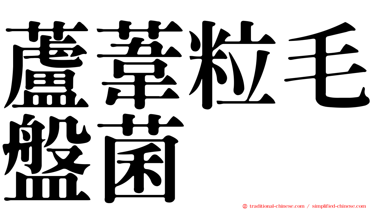 蘆葦粒毛盤菌