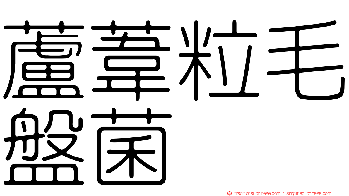 蘆葦粒毛盤菌