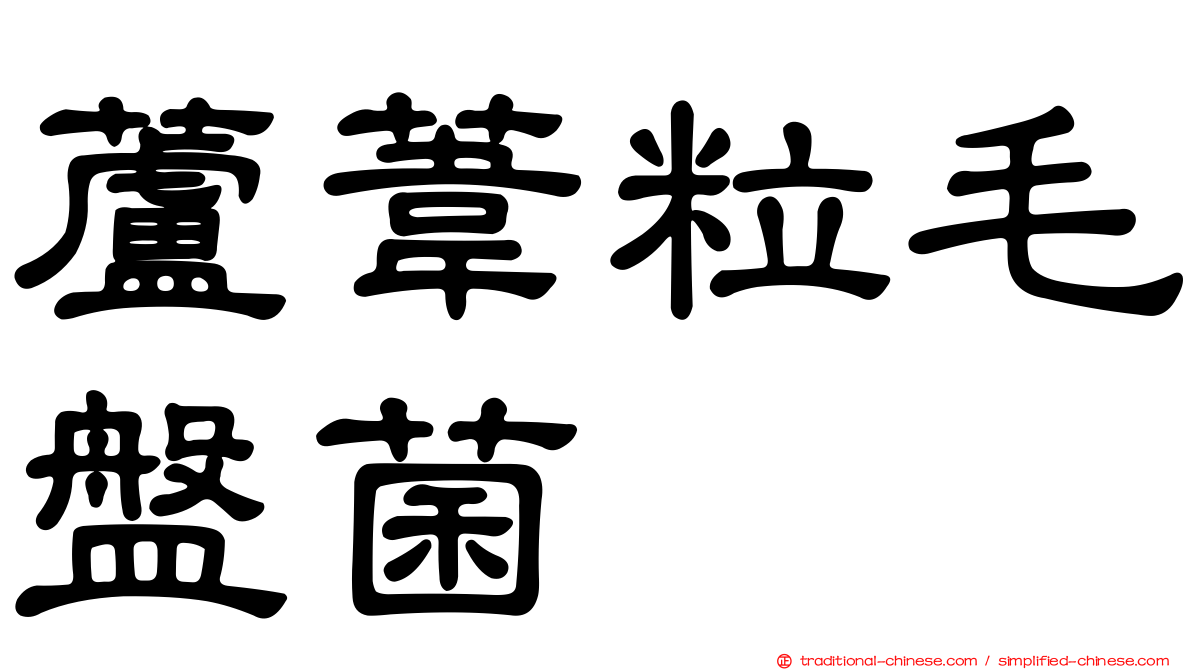 蘆葦粒毛盤菌