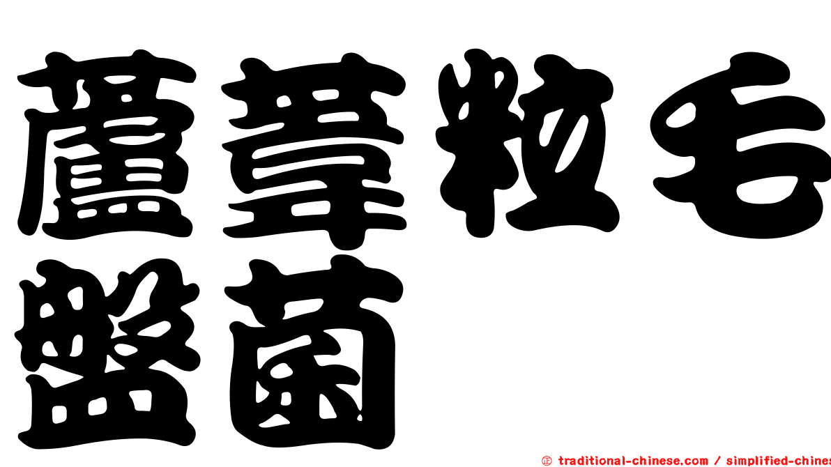 蘆葦粒毛盤菌