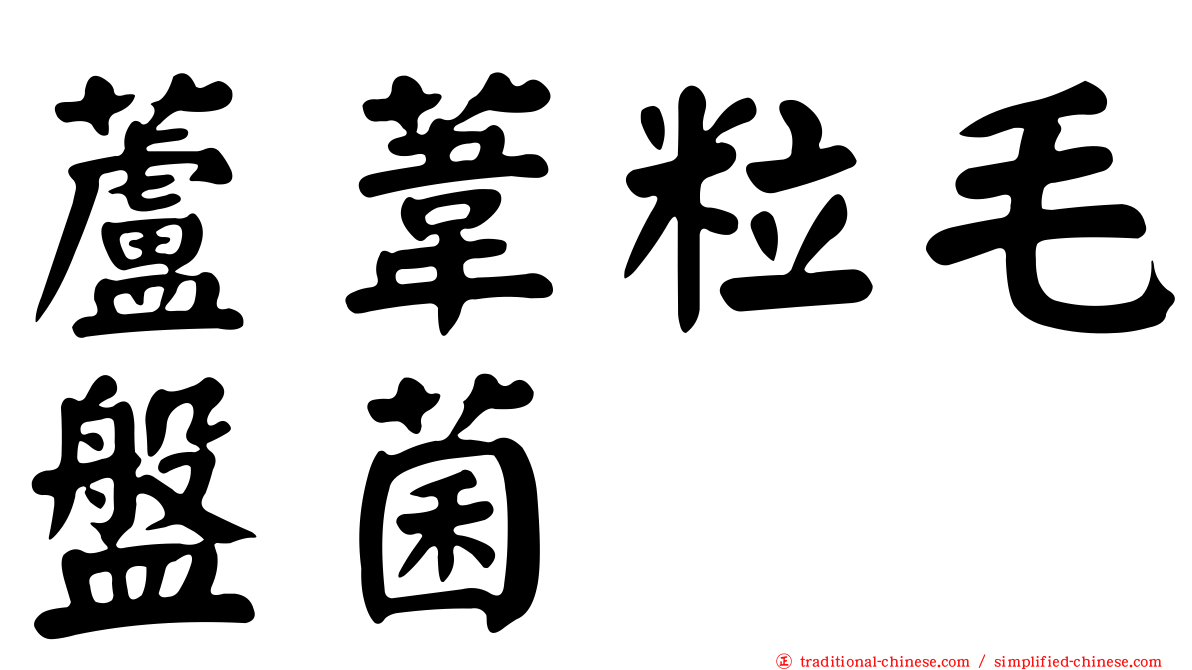 蘆葦粒毛盤菌