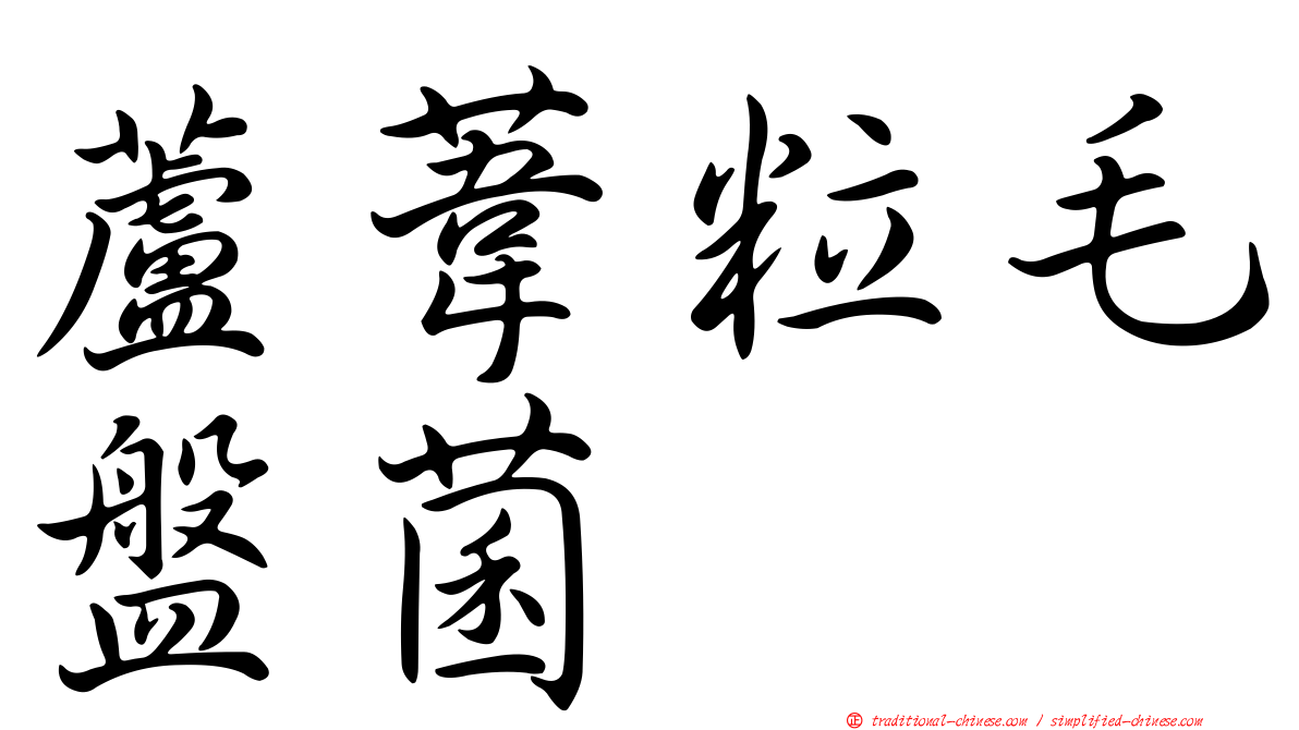 蘆葦粒毛盤菌
