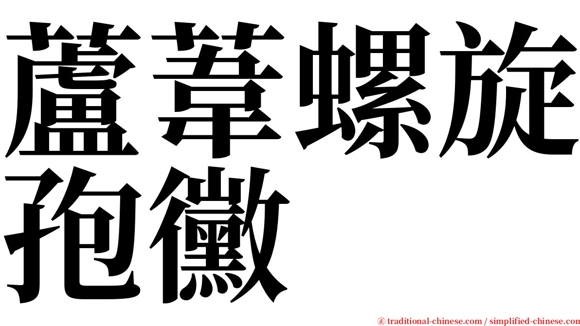 蘆葦螺旋孢黴 serif font