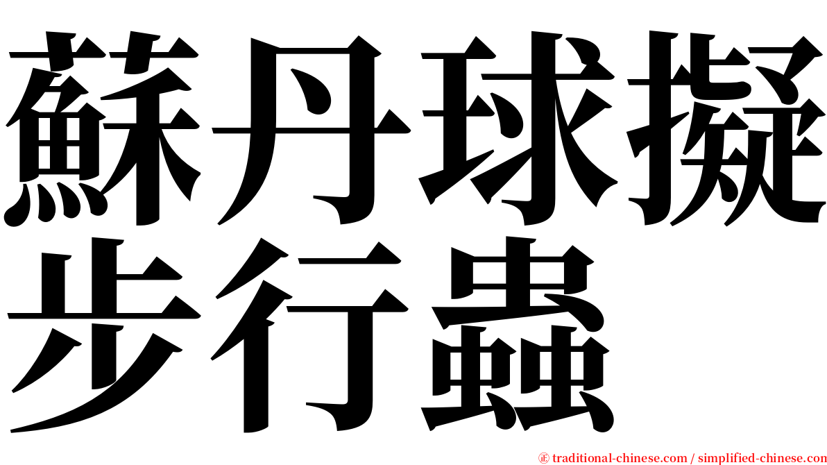 蘇丹球擬步行蟲 serif font