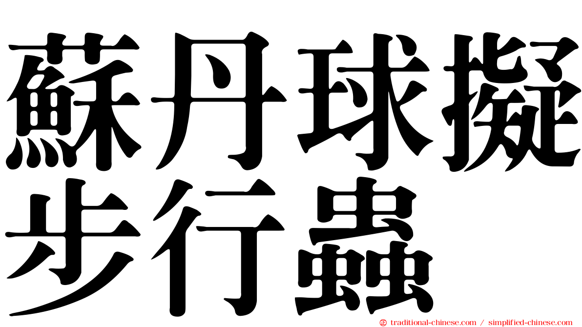 蘇丹球擬步行蟲