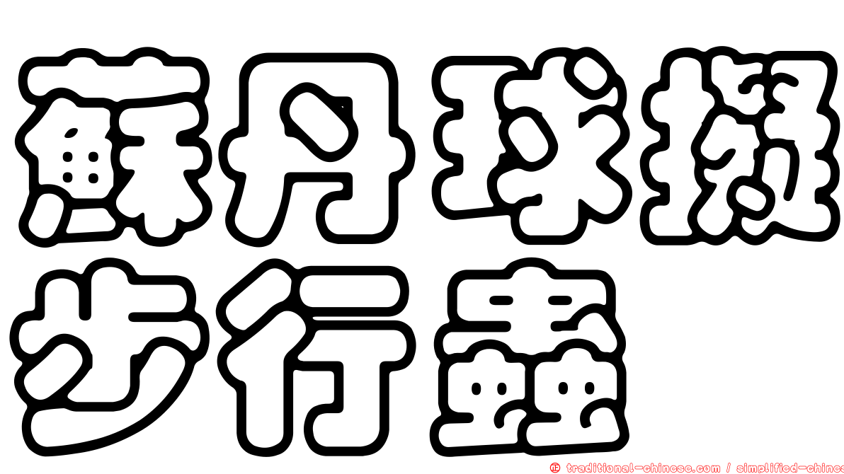 蘇丹球擬步行蟲
