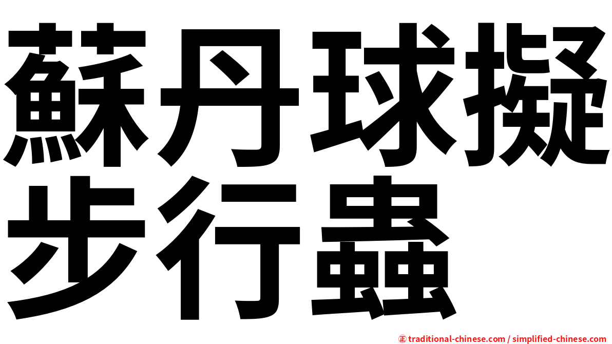 蘇丹球擬步行蟲